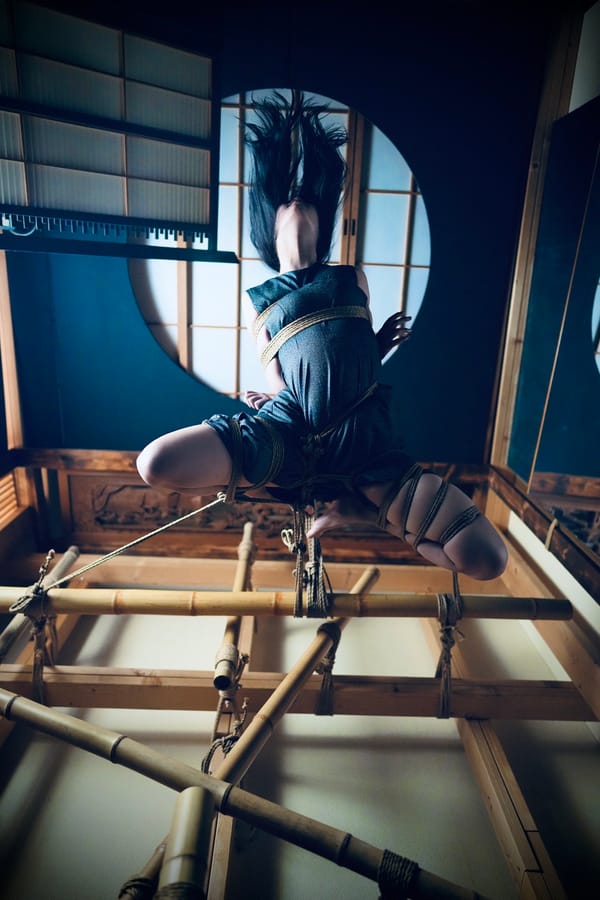 凝望深渊，端详我